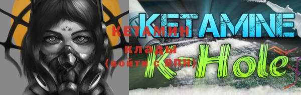 шишки Вяземский