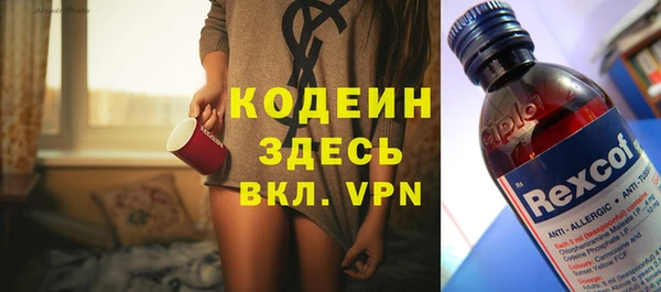 шишки Вяземский