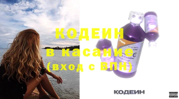 шишки Вяземский