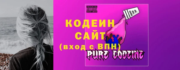 шишки Вяземский