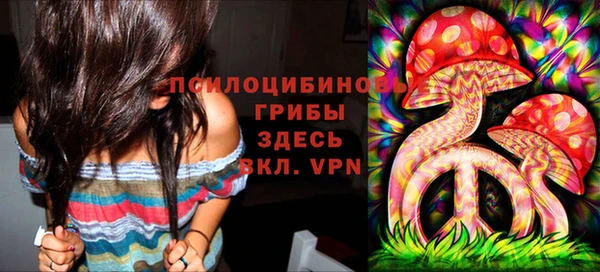 дживик Сатка