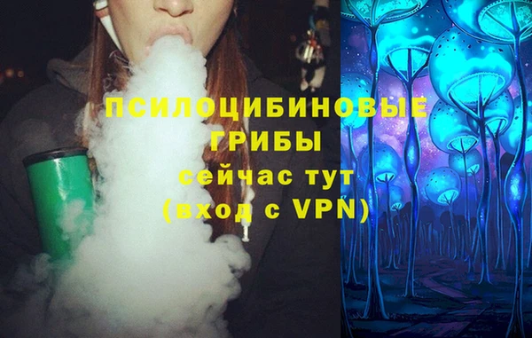 шишки Вяземский