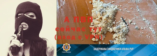 шишки Вяземский