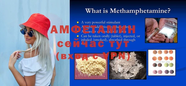 шишки Вяземский